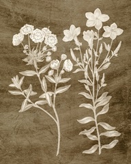 Botanical in Taupe I