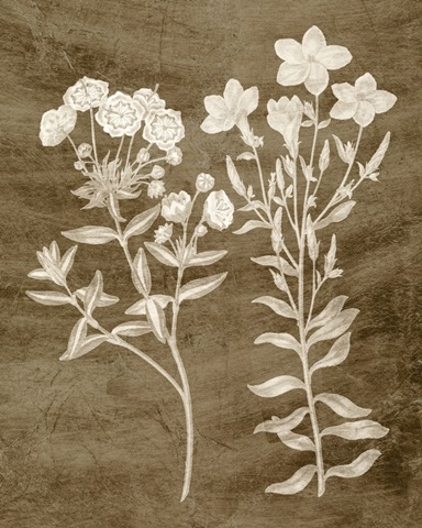 Botanical in Taupe I