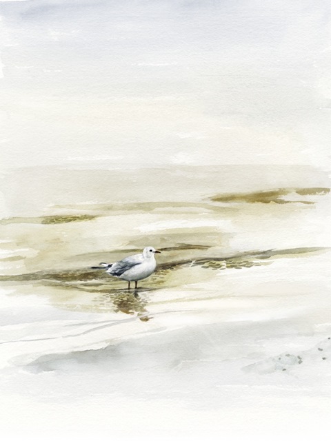 Coastal Gull I