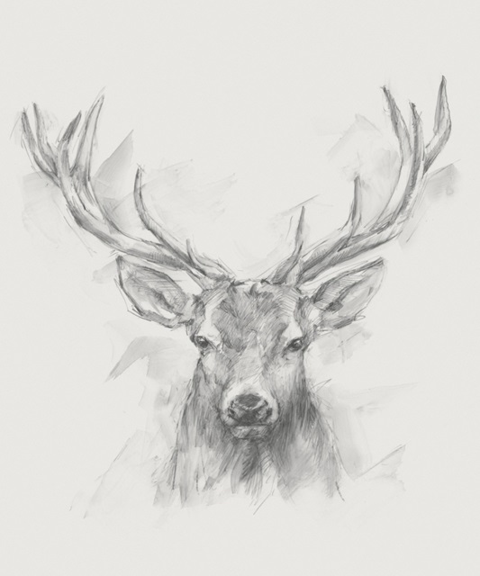 Contemporary Elk Sketch I