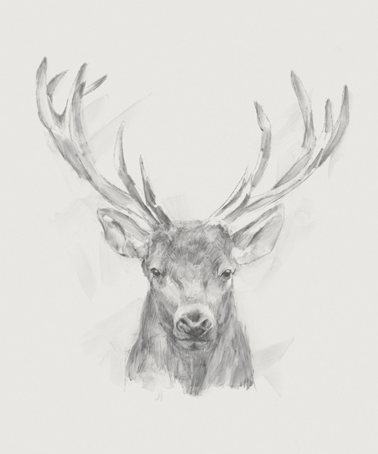 Contemporary Elk Sketch II