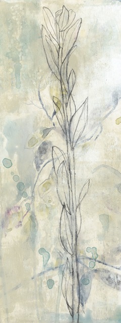 Contour Stem I