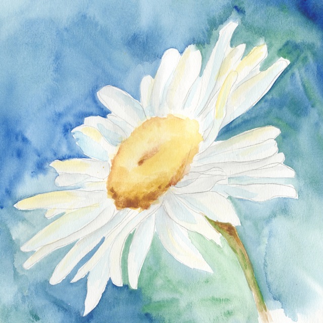 Daisy Sunshine I