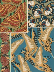 Decorative Butterflies IV