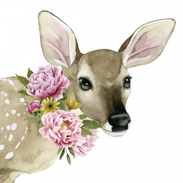Deer Spring I