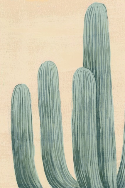 Dusty Cacti I