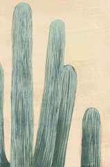 Dusty Cacti II