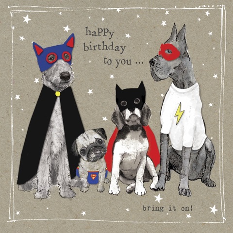 Fancypants Cool Dogs III