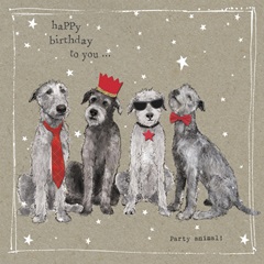 Fancypants Cool Dogs IV