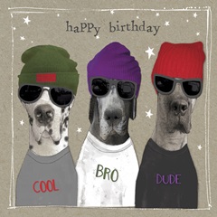 Fancypants Cool Dogs IX