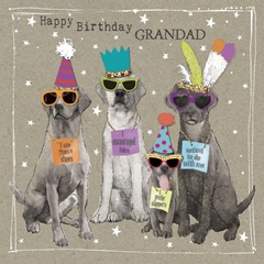 Fancypants Cool Dogs V