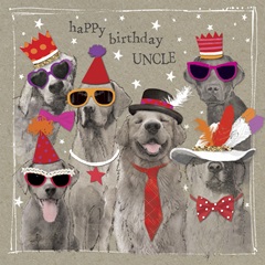 Fancypants Cool Dogs VII