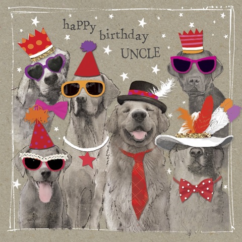 Fancypants Cool Dogs VII