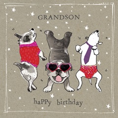 Fancypants Cool Dogs VIII