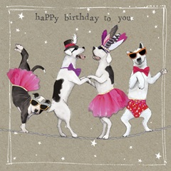 Fancypants Cool Dogs X