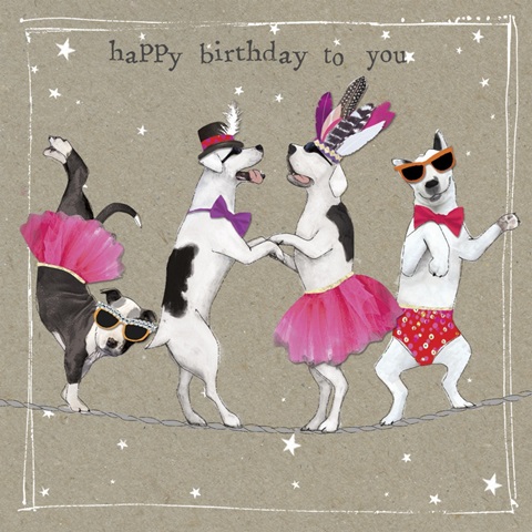 Fancypants Cool Dogs X