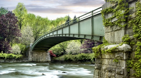 Farm and Country III