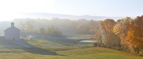 Farm and Country VII