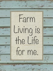 Farm Sentiment II