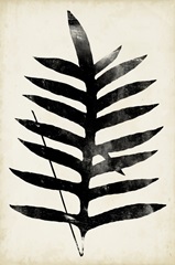 Fern Silhouette III