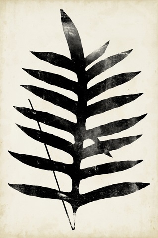 Fern Silhouette III