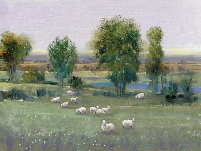 Field of Sheep I