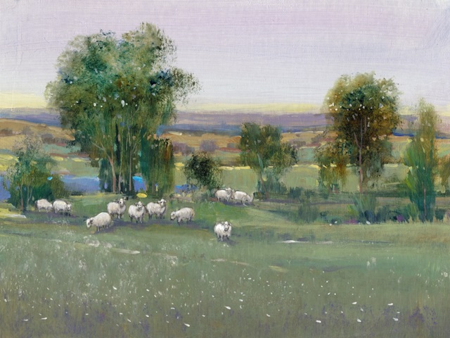 Field of Sheep II