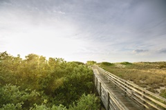 First Landing Dunes II