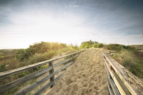 First Landing Dunes III