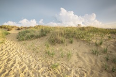 First Landing Dunes IV