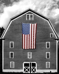 Flags of Our Farmers XIX