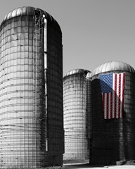 Flags of Our Farmers XX