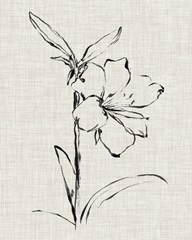 Floral Ink Study I