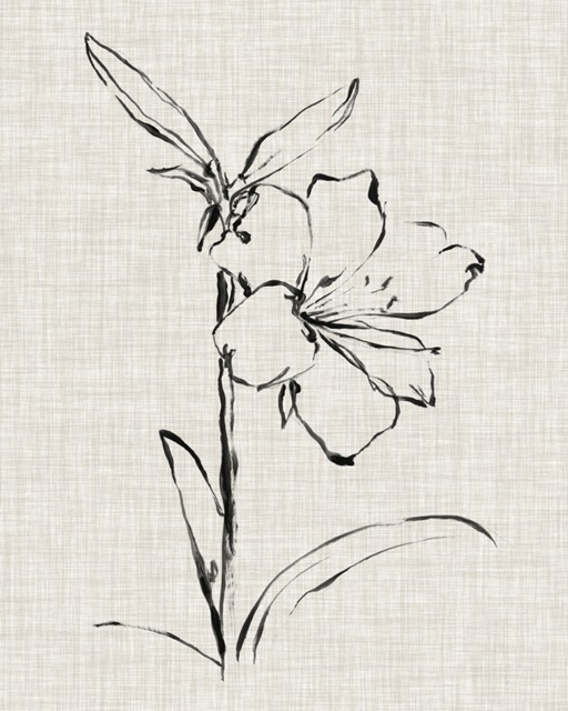 Floral Ink Study I