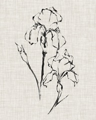 Floral Ink Study II