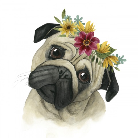 Flower Crown Pup I