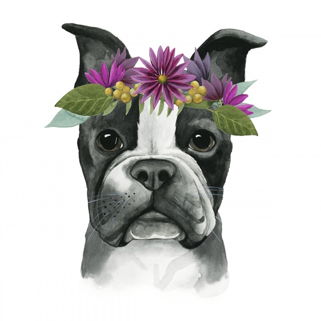 Flower Crown Pup II