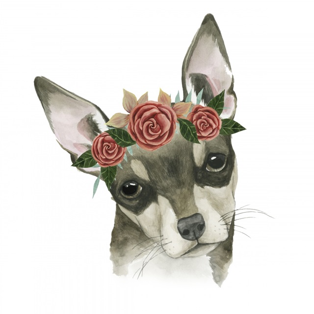 Flower Crown Pup III