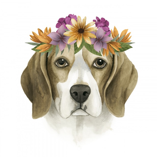 Flower Crown Pup IV