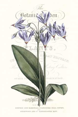 Flower Garden Varietals I