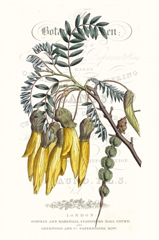 Flower Garden Varietals III