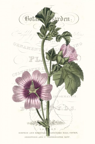 Flower Garden Varietals IV