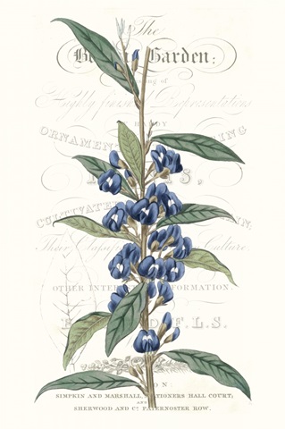 Flower Garden Varietals VI