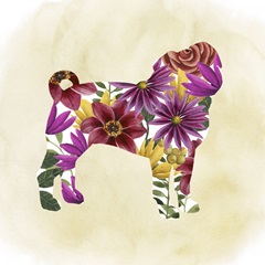 Flower Power Pup III