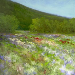 Flowers of Half Moon Bay II