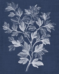 Foliage Chintz I