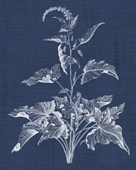 Foliage Chintz II