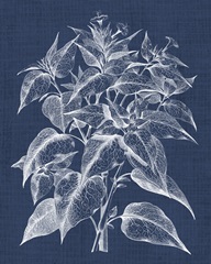 Foliage Chintz III