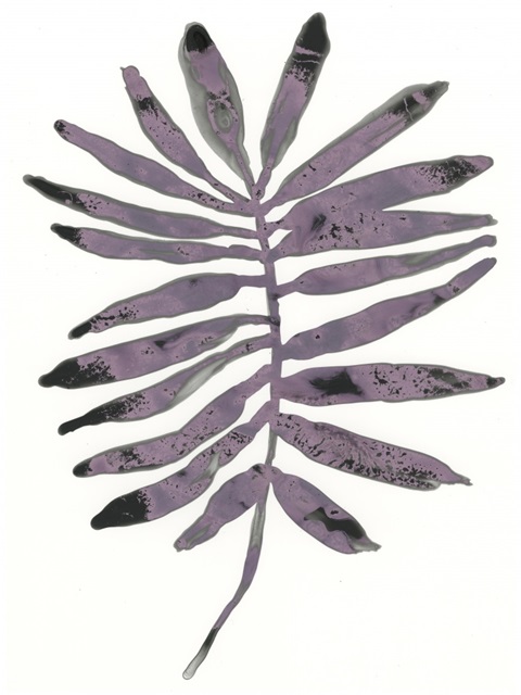 Foliage Fossil I