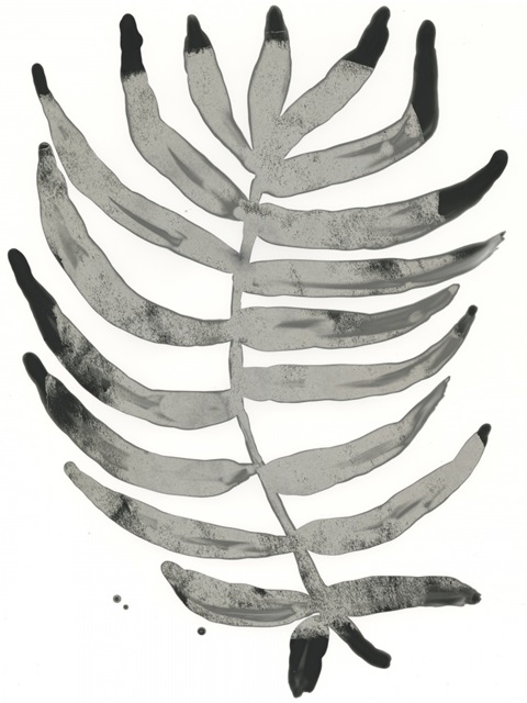 Foliage Fossil IV